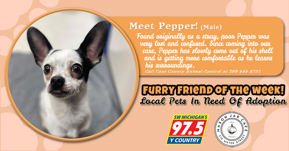meet-pepper-furry-friend-of-the-week-061722