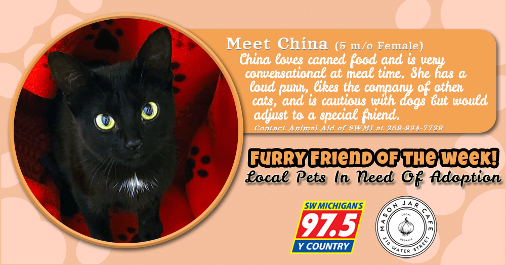 meet-china-furry-friend-of-the-week-072922
