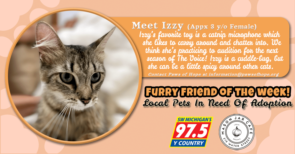 meet-izzy-furry-friend-of-the-week-081222