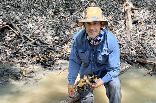 zonzalez-socoloske-500x33394296-1