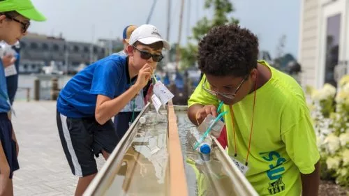 pxl_20230724_155810313-portrait-500x281-1