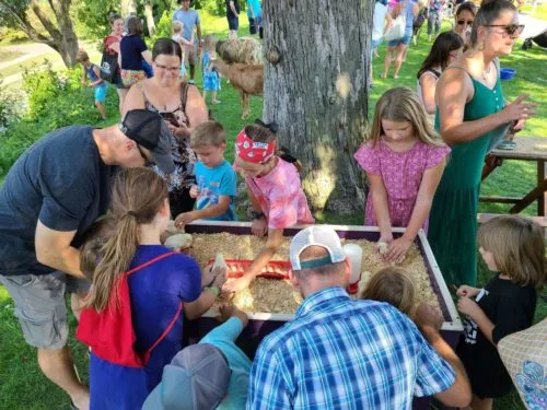 fall-fest-03-500x375535691-1