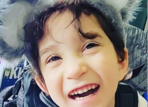 dfgdregrr4e-500x361346078-1