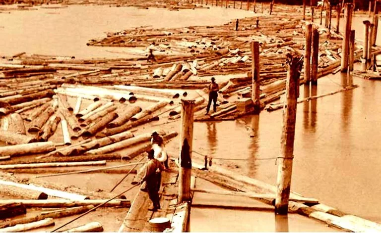 picture11-768x471510628-1