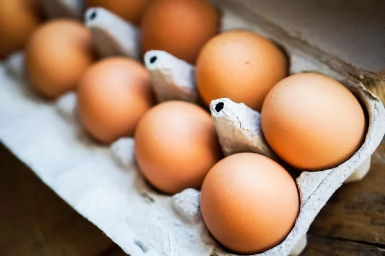 eggs-safe-768x511677420-1