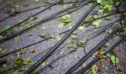 storm-damage-safe650734