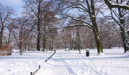 woods-safe-273892673