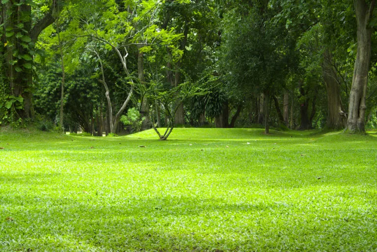 park-safe-282-768x514743067-1