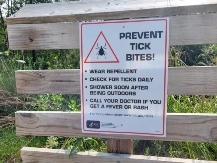 ticks-2-768x57677648-1