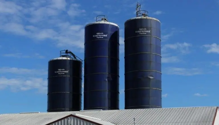 egegeegee-768x439607749-1