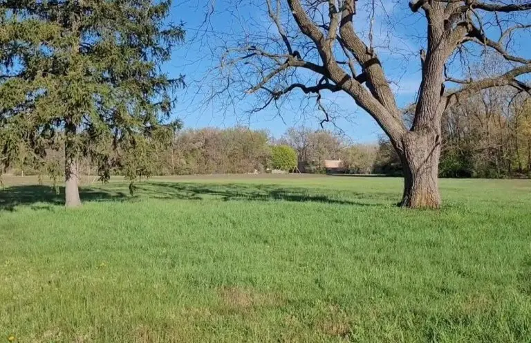 martinedale-768x496790726-1