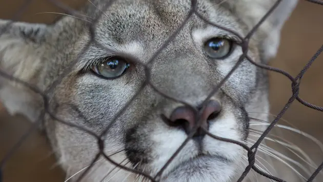 untitled20design20289129952511