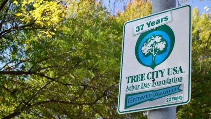 tree-city-usa210268