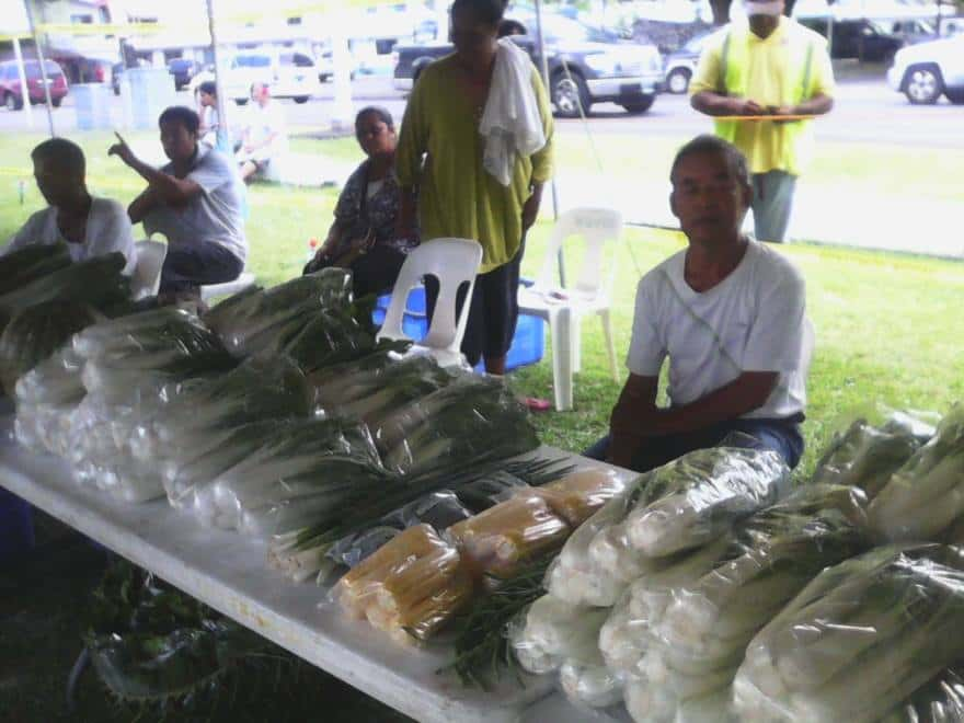 farmers cabbage