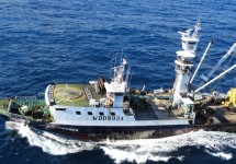 ocean-global-fisheries