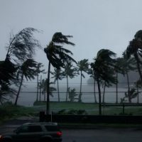 weather-coconut-trees