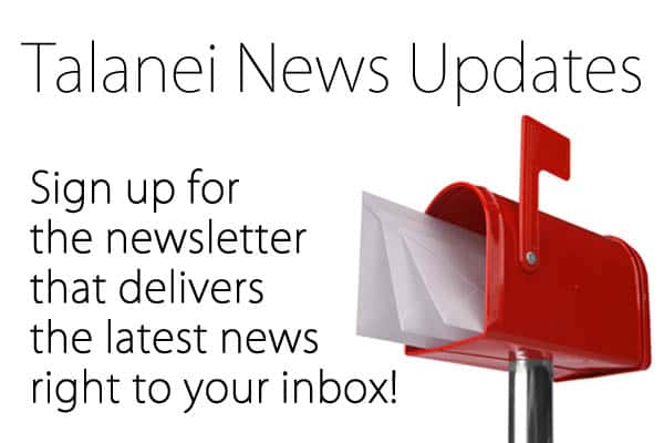 talanei-news-updates