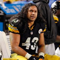 troy-polamalu