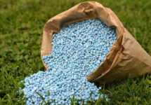 types-of-fertilizer