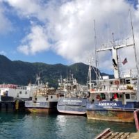 1b833bf4-4887-4d8f-81a0-867779a93fb4