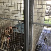 6d13807b-83d4-4ef6-bbfb-81d9bcd8173c