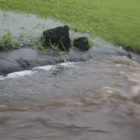 55179b75-f8b1-4899-96f5-c2c325140a45