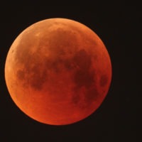 86948dea-a3e7-4fd0-b551-9971075ada8f