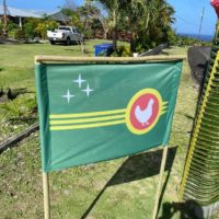 53172f51-17b3-4db3-a33a-58e3c94e28f7