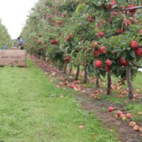 d9dde0a4-b4df-49d4-9f3c-9f401473d5af