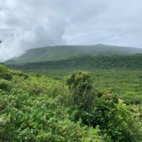 55d9c81f-e2b0-410d-af63-b5afb8150e2e