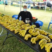 a091e74c-2dd3-41b6-a034-3677eb50c89d