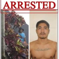 7b8260a5-5704-477f-8056-156d5637f21b