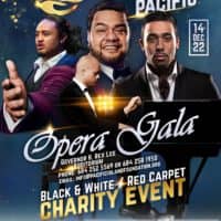 opera-gala-tall