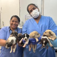 bd786742-9c65-45f5-8105-7d773bffff7f