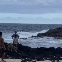 1193a599-400c-48ef-b37d-eb906fece727