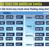 fdf9d31a-00f1-486b-8d18-81042b0d016f