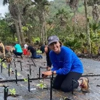 kupu-program