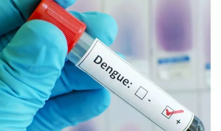 dengue-april