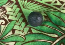 metallic-nodule-pictured-on-table-cloth-courtesy-of-c-m-and-tisa-faamuli
