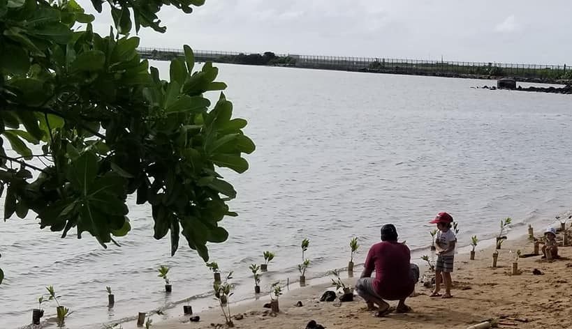 Training focuses on protecting coastal infrastructure & ecosystems