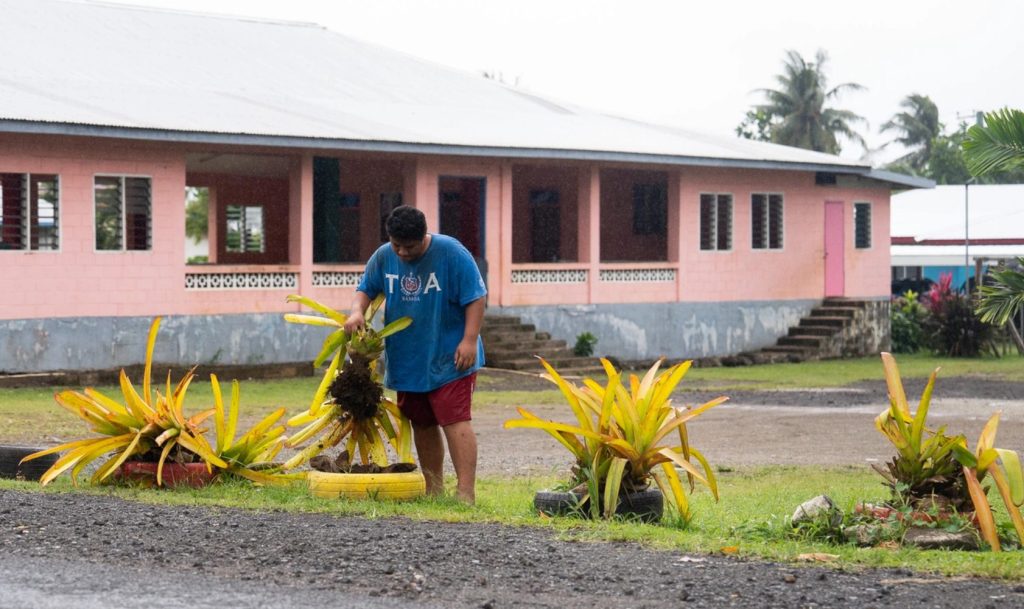 Villages in Samoa asked to remove bromeliads in fight against dengue