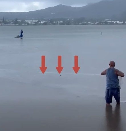 Drift gillnet fishing is illegal