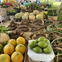 att-xkrlluix1cxtzbu4vxefziqwhed1bren-gu-6nunwum