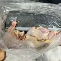chicken-with-drugs