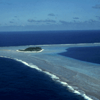 rose-atoll