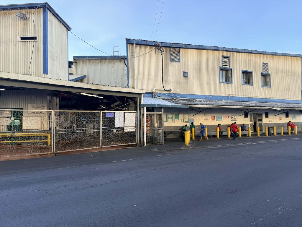 StarKist Samoa wraps up production year