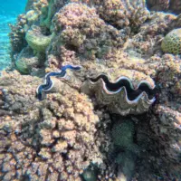 dcim100goprogopr0280-jpg