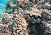 dcim100goprogopr0280-jpg