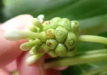 olympus-digital-camera-19