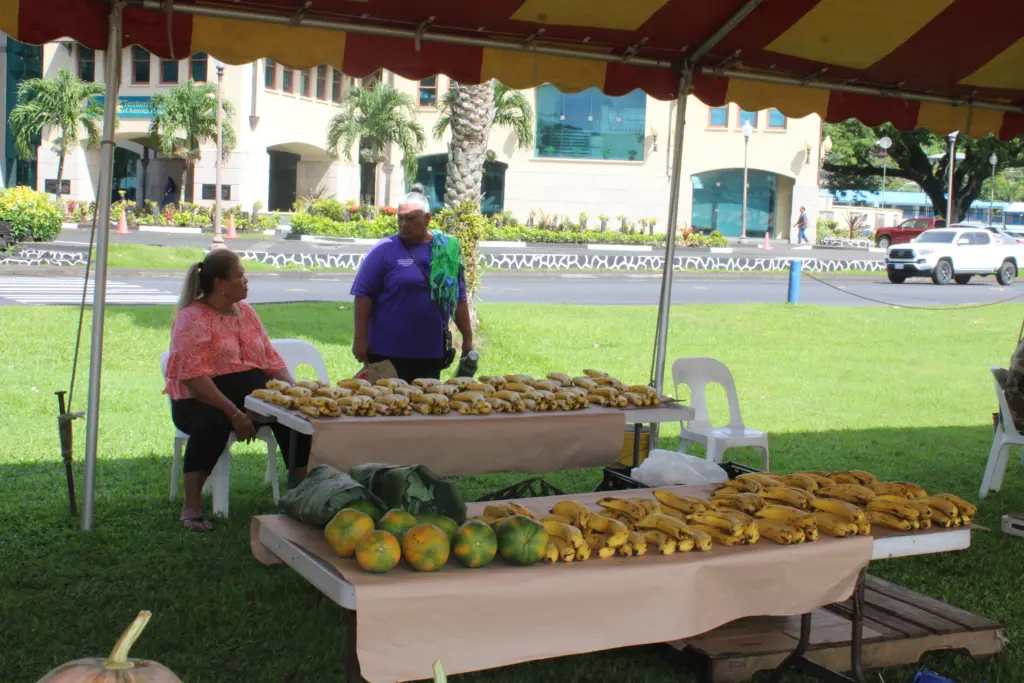 farm-fair-samoan-language